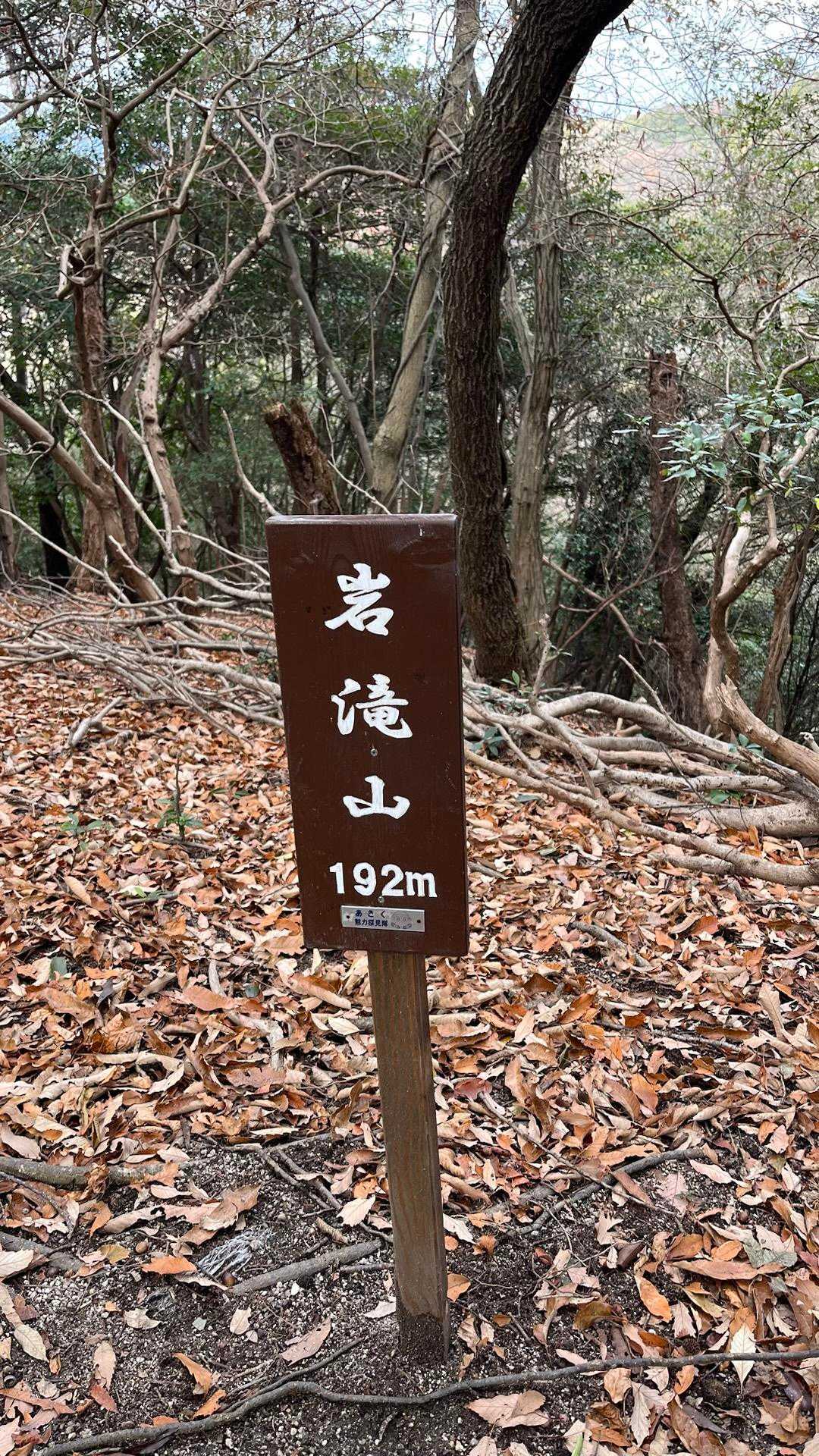 岩滝山-蛇幕山 往復コースの写真