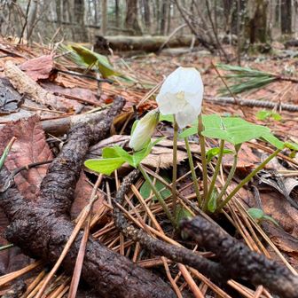 また天気のいい日に👋
