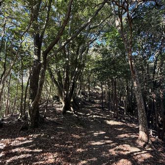 空気がクリアで日差しが強いからかな？
ホントにキラキラで美しい✨