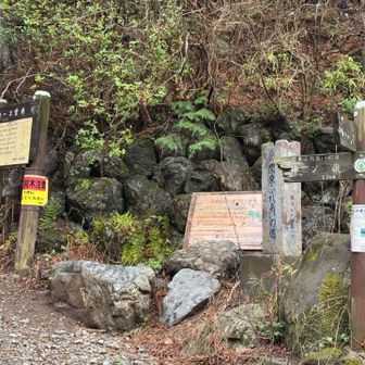 ダムから登山口まで1キロ