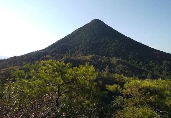 花の百名山8/100】三上山（近江富士）！ / てつやの登山データ | YAMAP