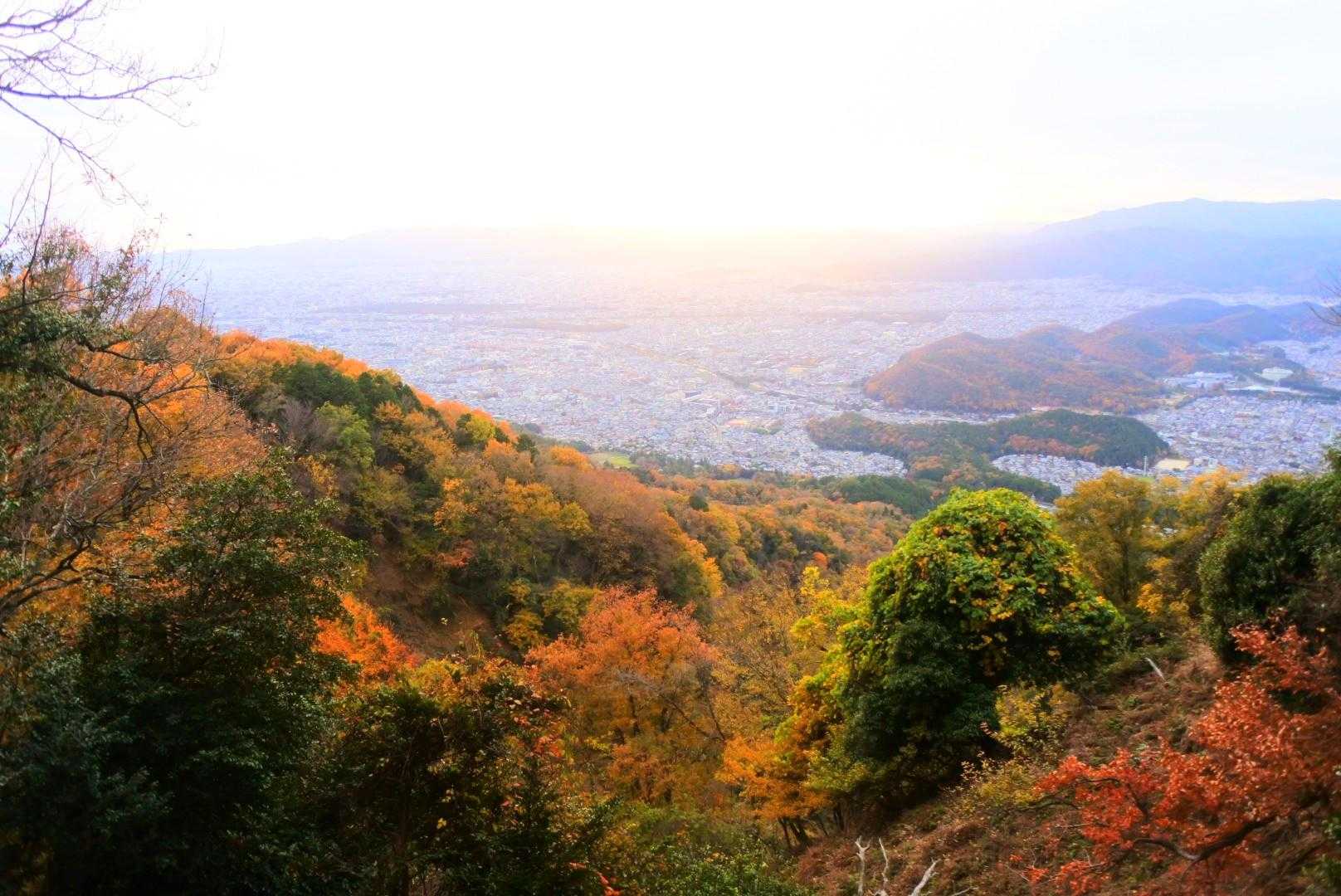 比叡山登山口-修学院山-大比叡-ケーブル比叡駅 往復コースの写真