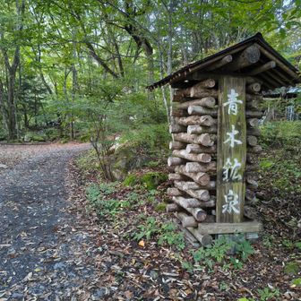 ここまで車で来るのが過去一の酷道で怖かった。