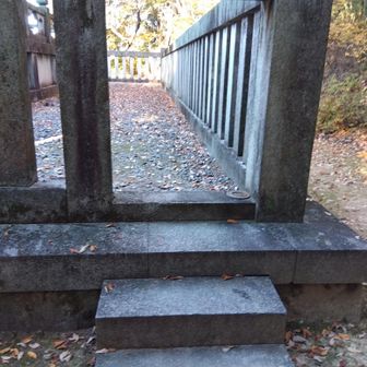 この裏口から内側に入れるけど。。。入ってどうする？