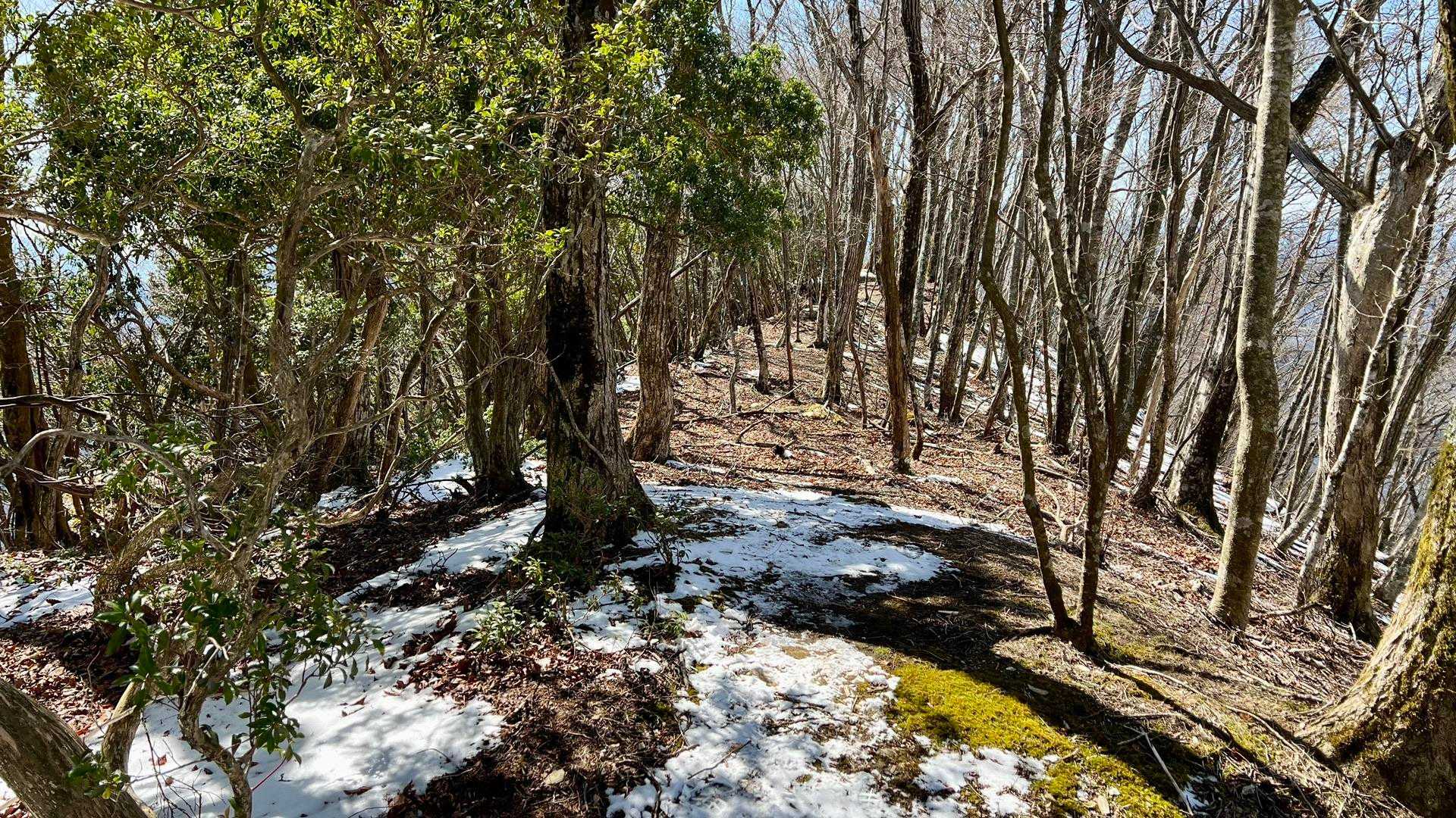 鶏足山 往復コースの写真