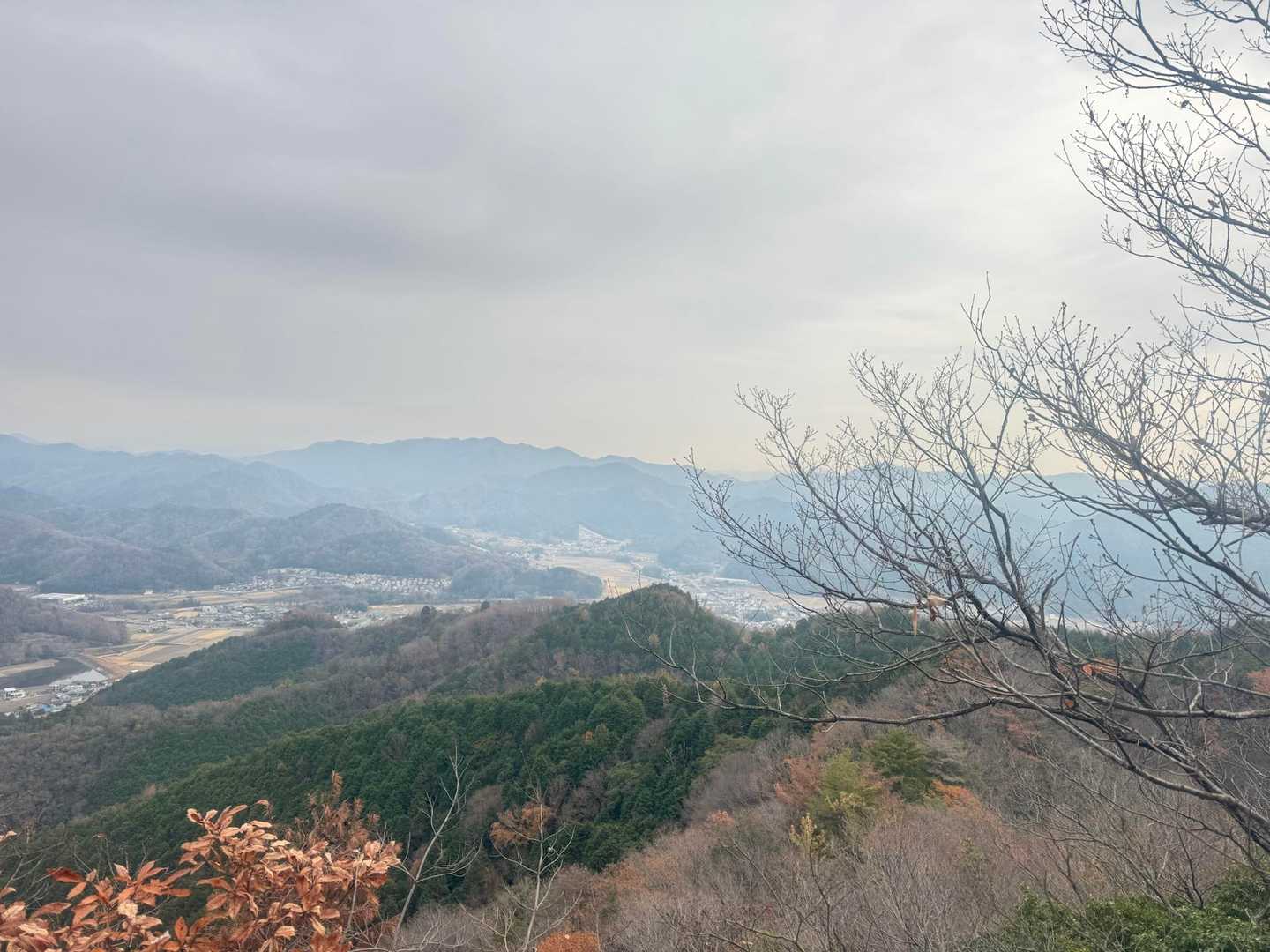 写真の右の方が書写山（╹◡╹）