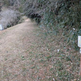 こちらは喜桜山コース登山口
又来るね💨