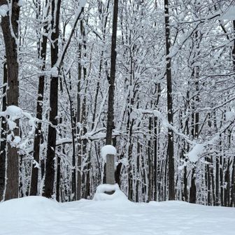 ここが山頂のようです