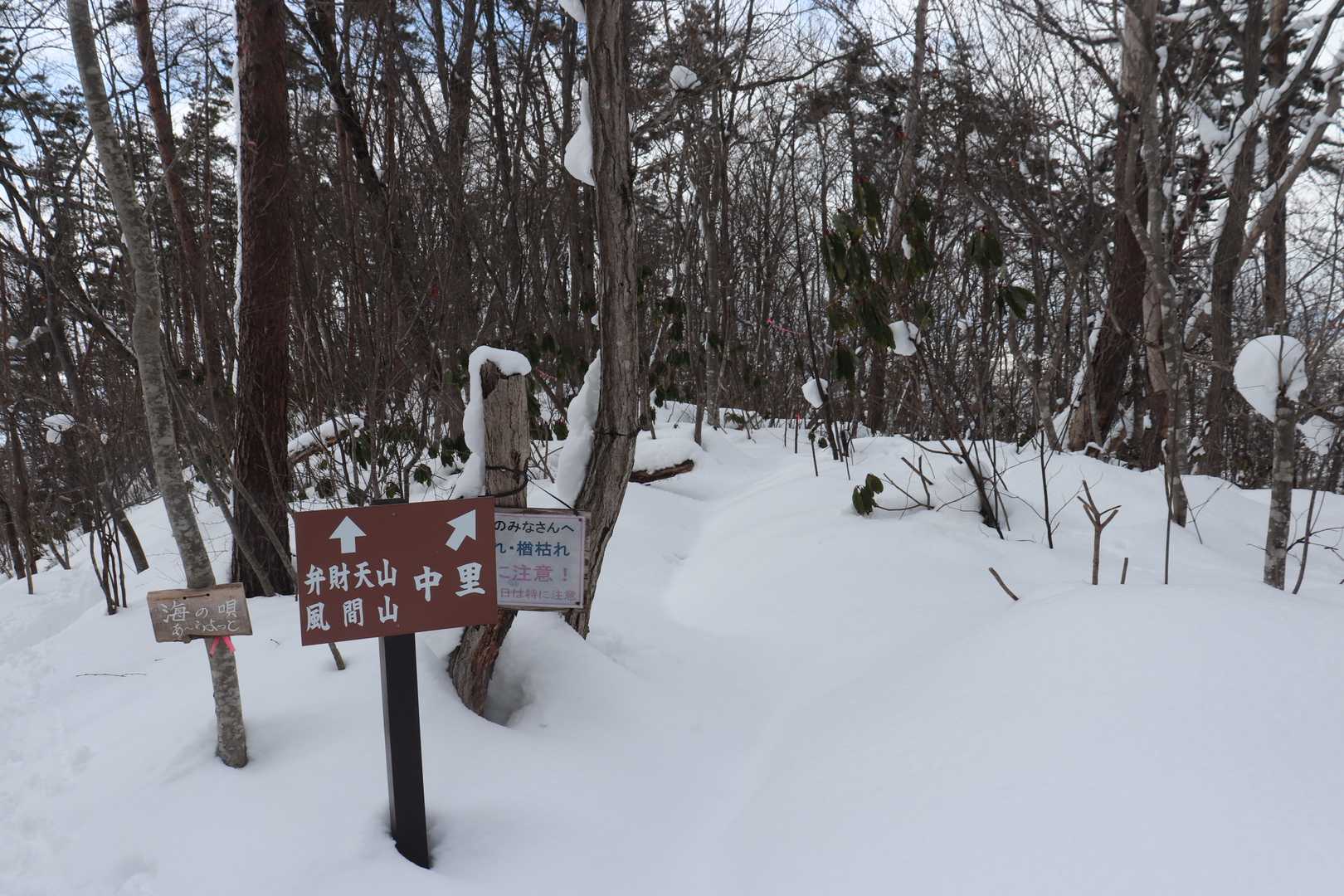 ちょっと行ったら腿まで埋まって即退却😩