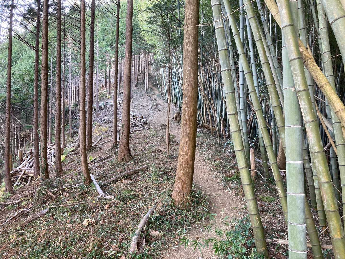 奥沢神社 奥宮-臼入山-烏森山-官ノ倉山-官ノ倉山登山口- 周回コースの写真