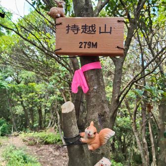 持越山 279m グレーピーク