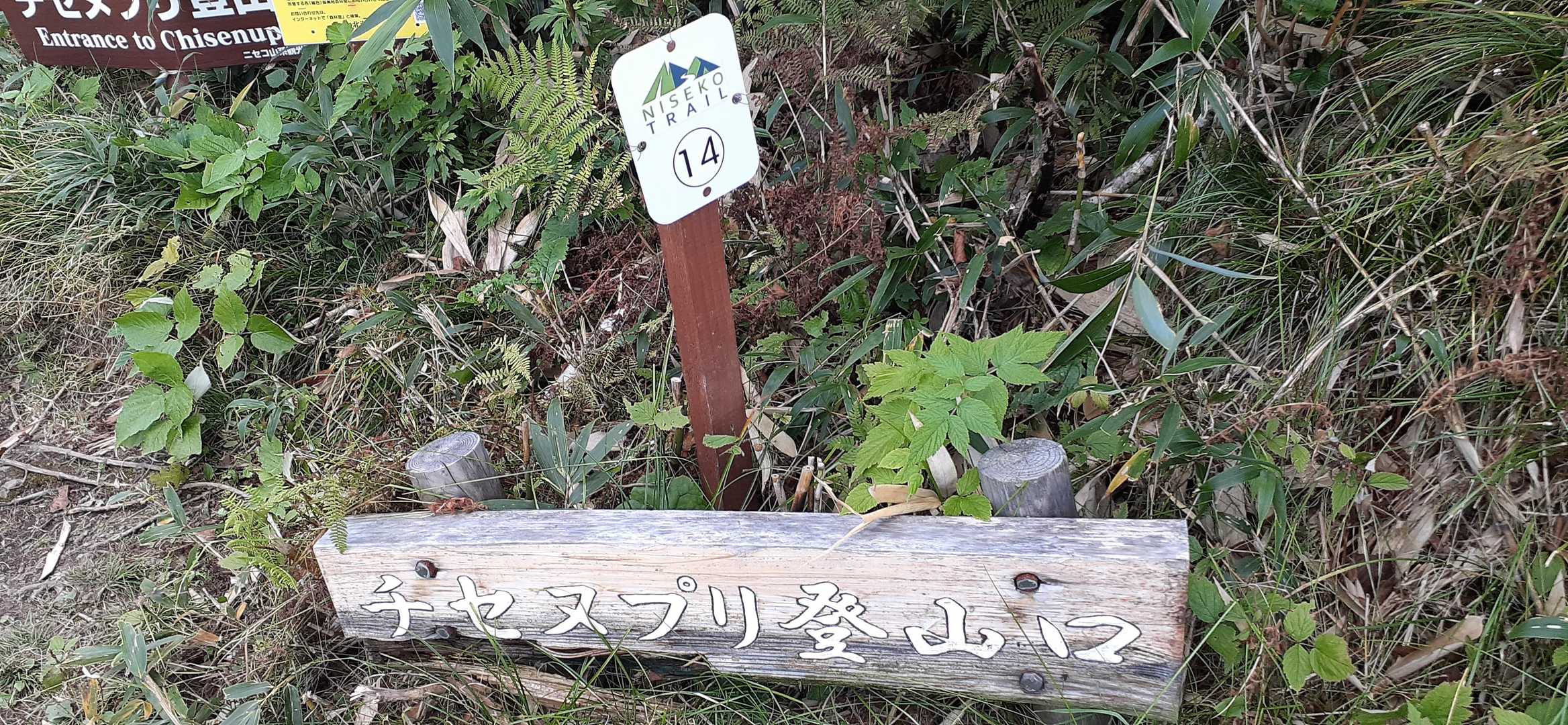 チセヌプリ 往復コースの写真