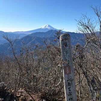 山梨百名山の標柱はボロボロ😅