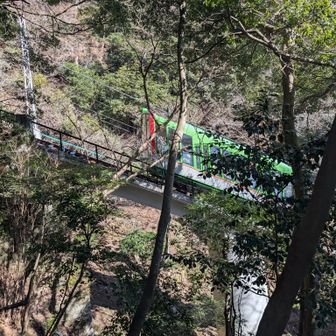 乗りたかったなケーブルカー