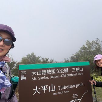 1座🐑
