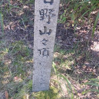 日野山頂上標柱