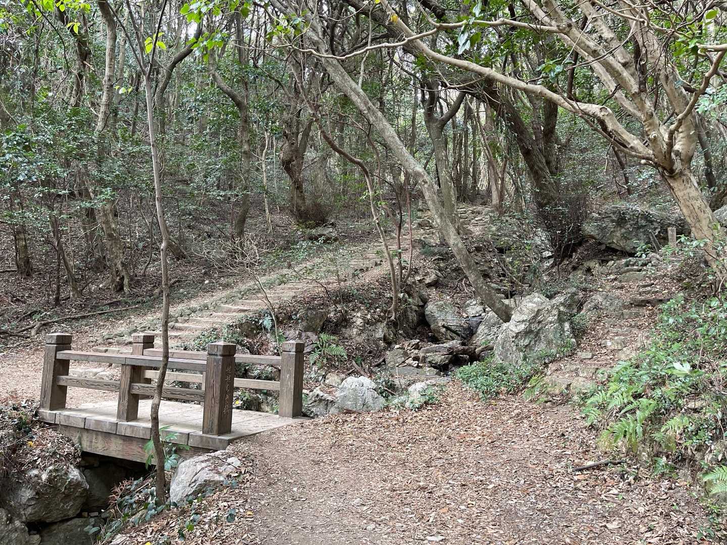 蔵王山 往復コースの写真