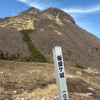 いもりーん🙌
いもり風が疲れた体にブォブォーきましたよ(*‾᷄ᵕ‾᷅*)