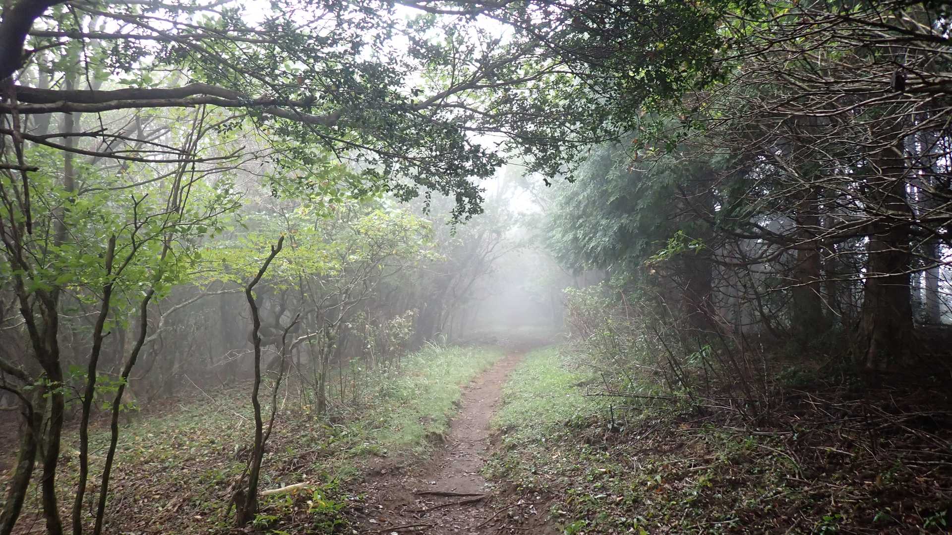 出発！晴予報だけど山の天気は分からない
