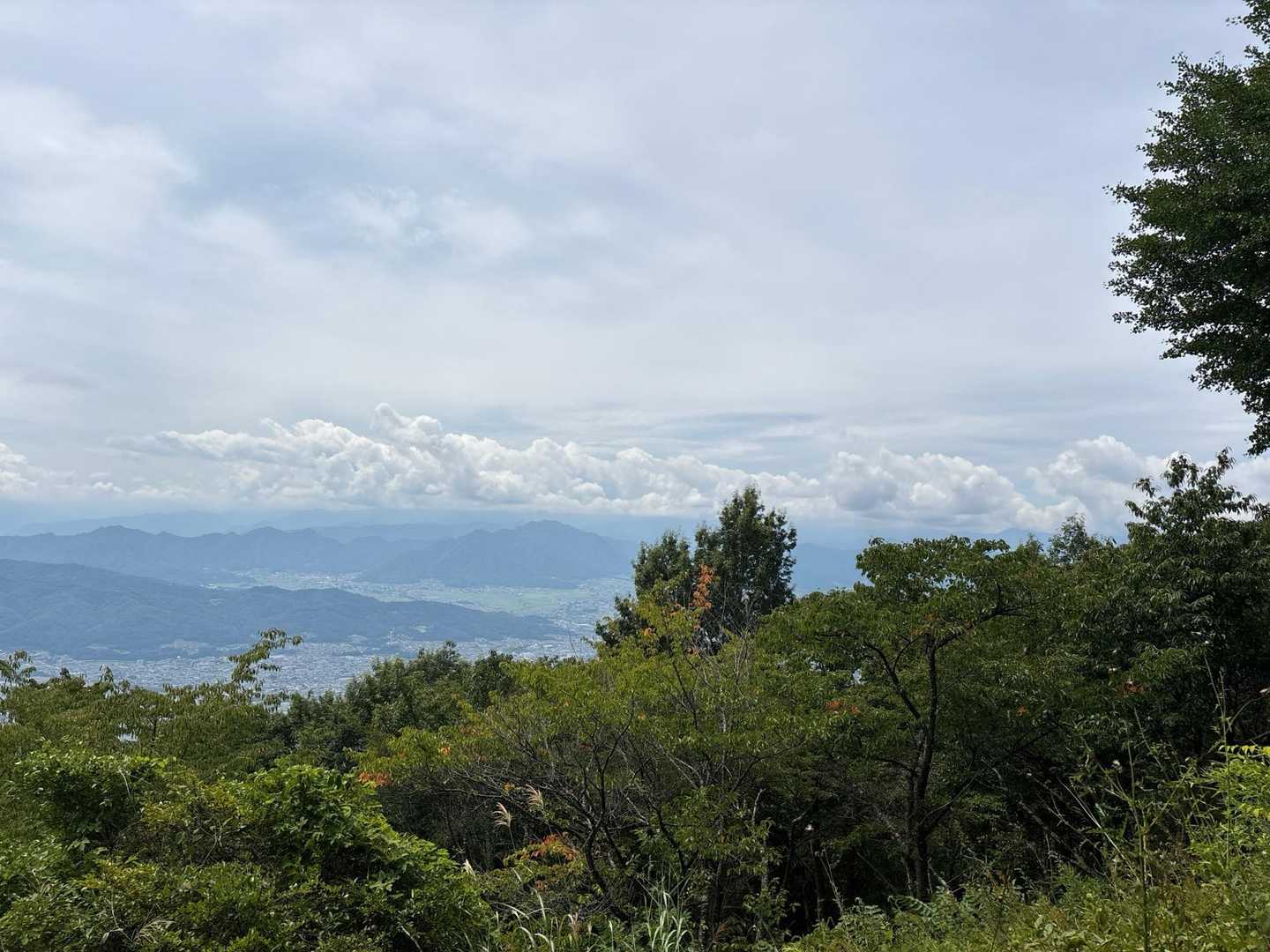 表参道登山口-太郎神社-太郎山-裏参道登山口 周回コースの写真