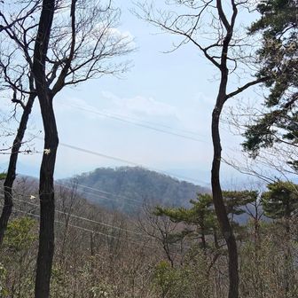 おはよう🥱です