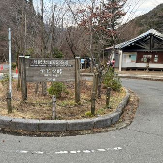 ヤビツ峠まで来ました。
お疲れ様でした♪

20年ぶりの登山という方もいました。みなさん、達成感が凄いようです。とても気に入ってくれたので良かった☺️
明日また職場で会いましょ〜👋👋