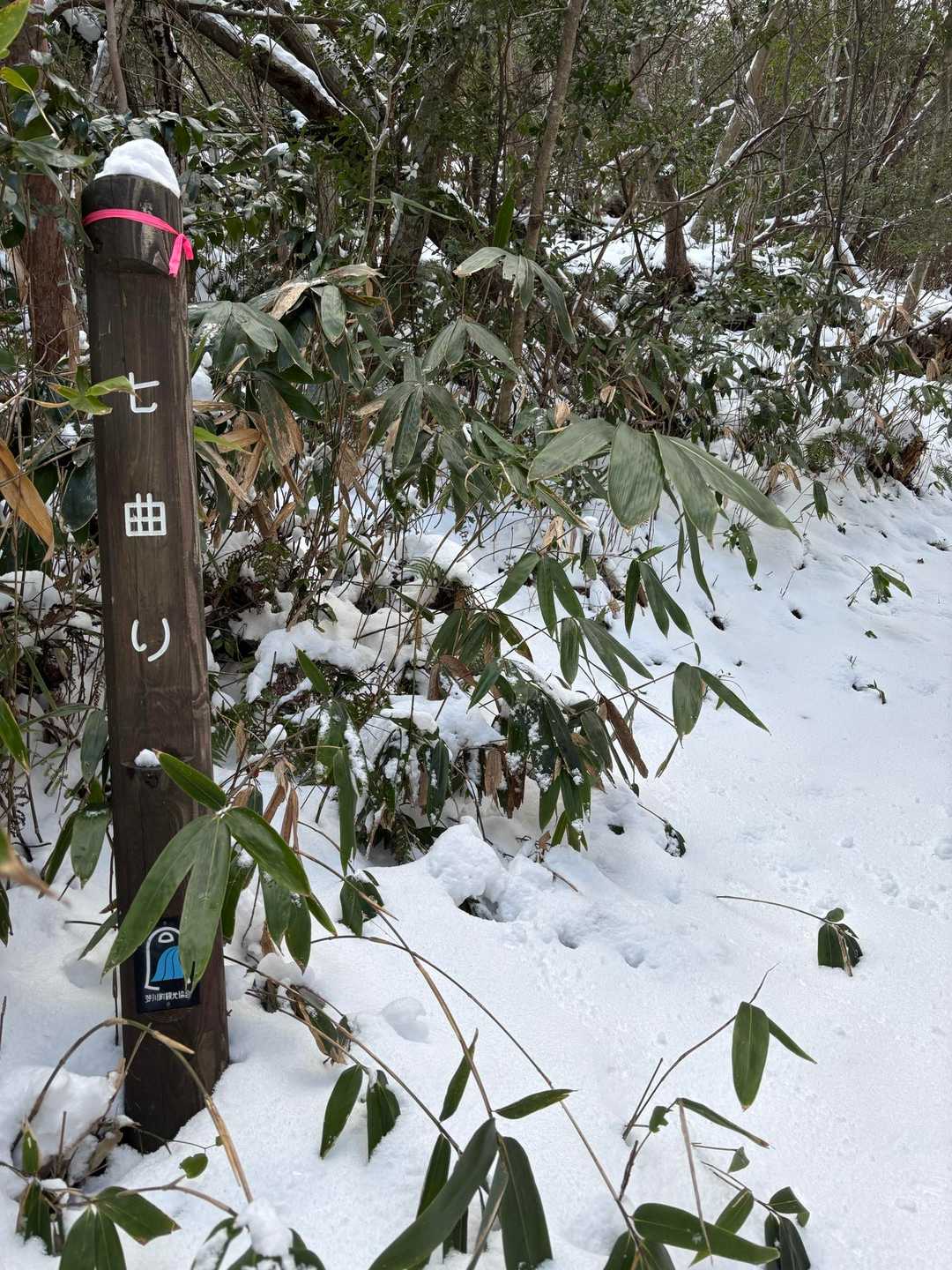 ここから200メートルくらい急登