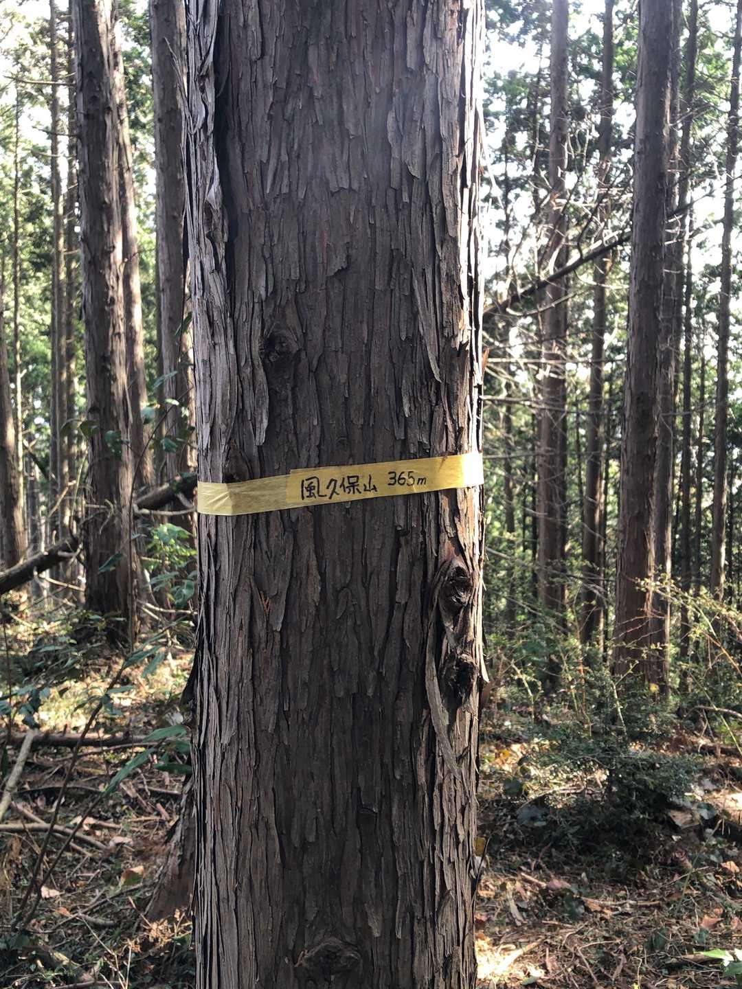 控えめな山頂表示。この山頂へは、カモシカ？のコロコロしたフンがいたるところにありました。気をつけて歩きましょう。