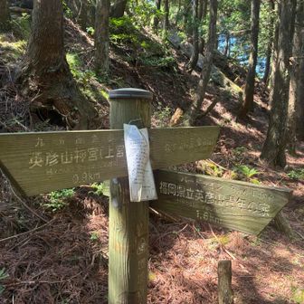 正面登山道に合流