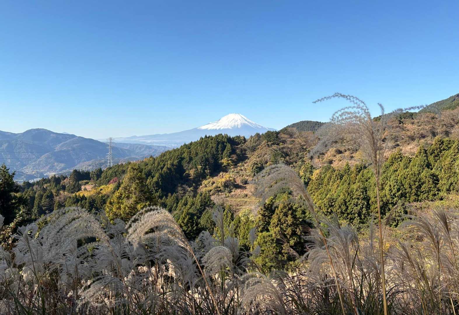 尺里峠からすぐの富士山絶景地ポイント