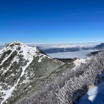奥に北アルプスがズラリ🤩