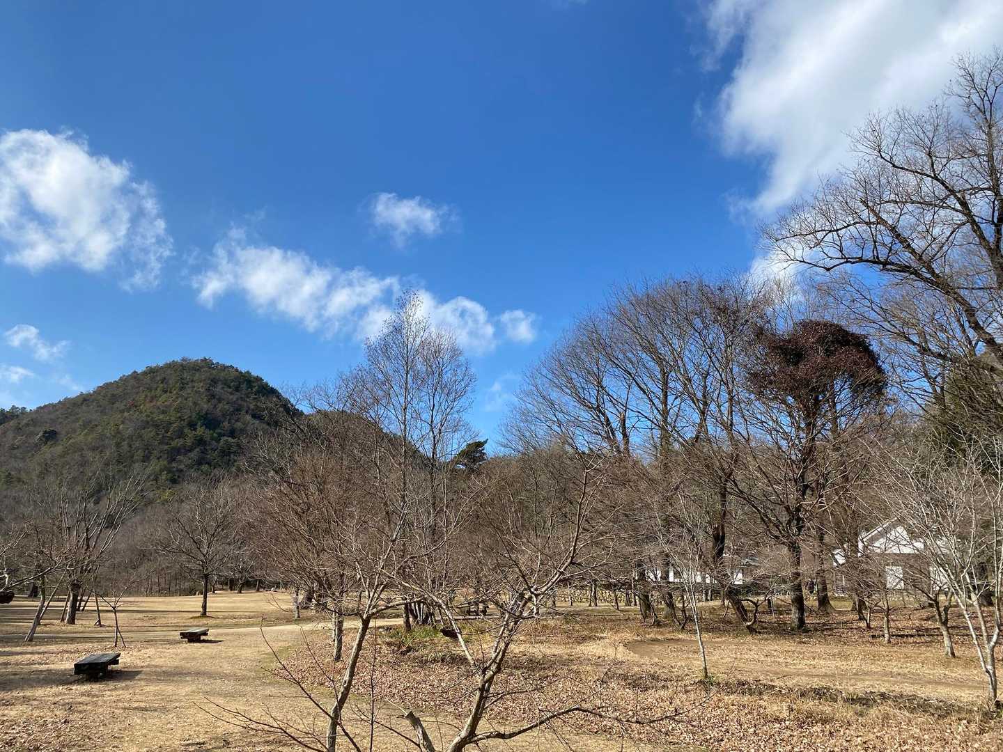 暖かく良い天気☀️