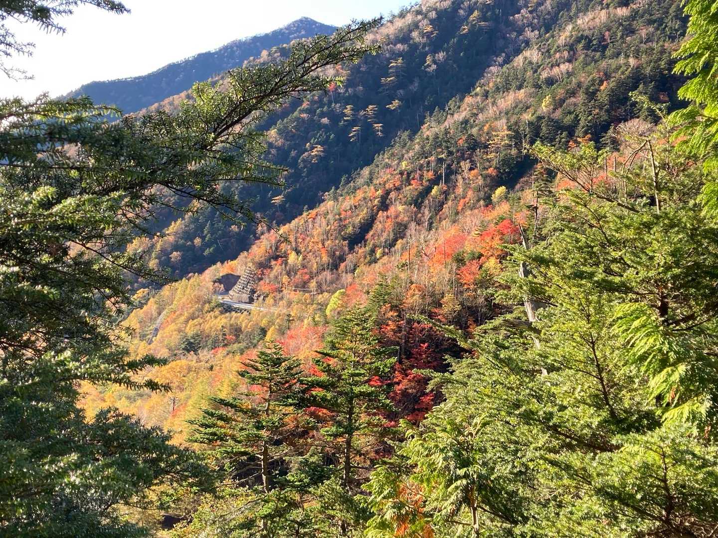 金精峠トンネル手前の登山口に車を止める。登山口付近の紅葉が見頃になっている。