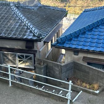 なんか視線を感じる👀