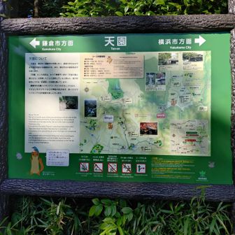 天園