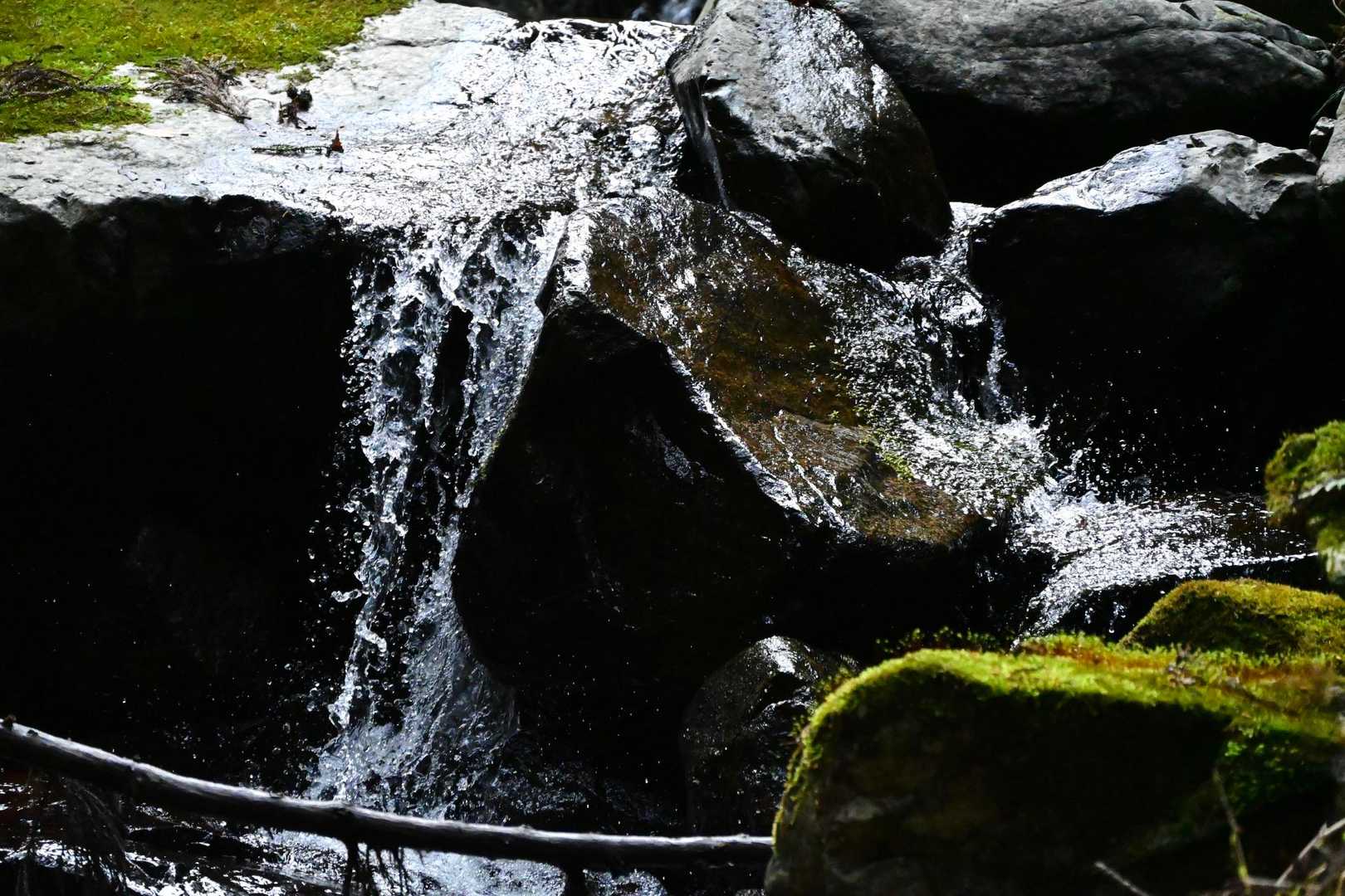 一気に山を駆け下り、
