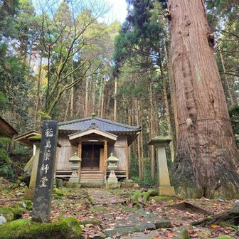 朝は暗くて見えなかった⛩️稲島薬師堂