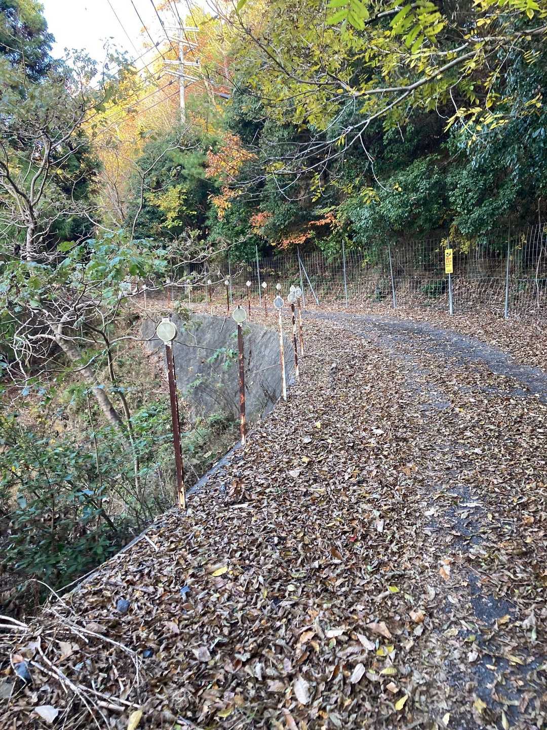 荒れたアスファルト