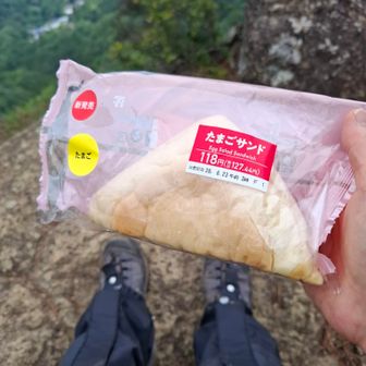山なみを眺めながら小腹を満たす
セブンのパン、安い〜
