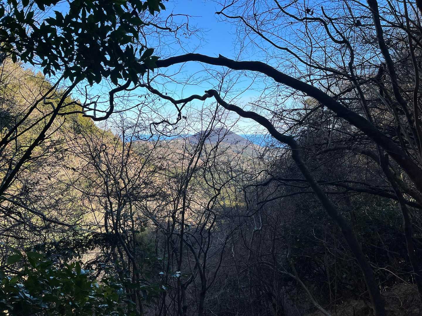 登山口近くから見えるガトーショコラ大室山