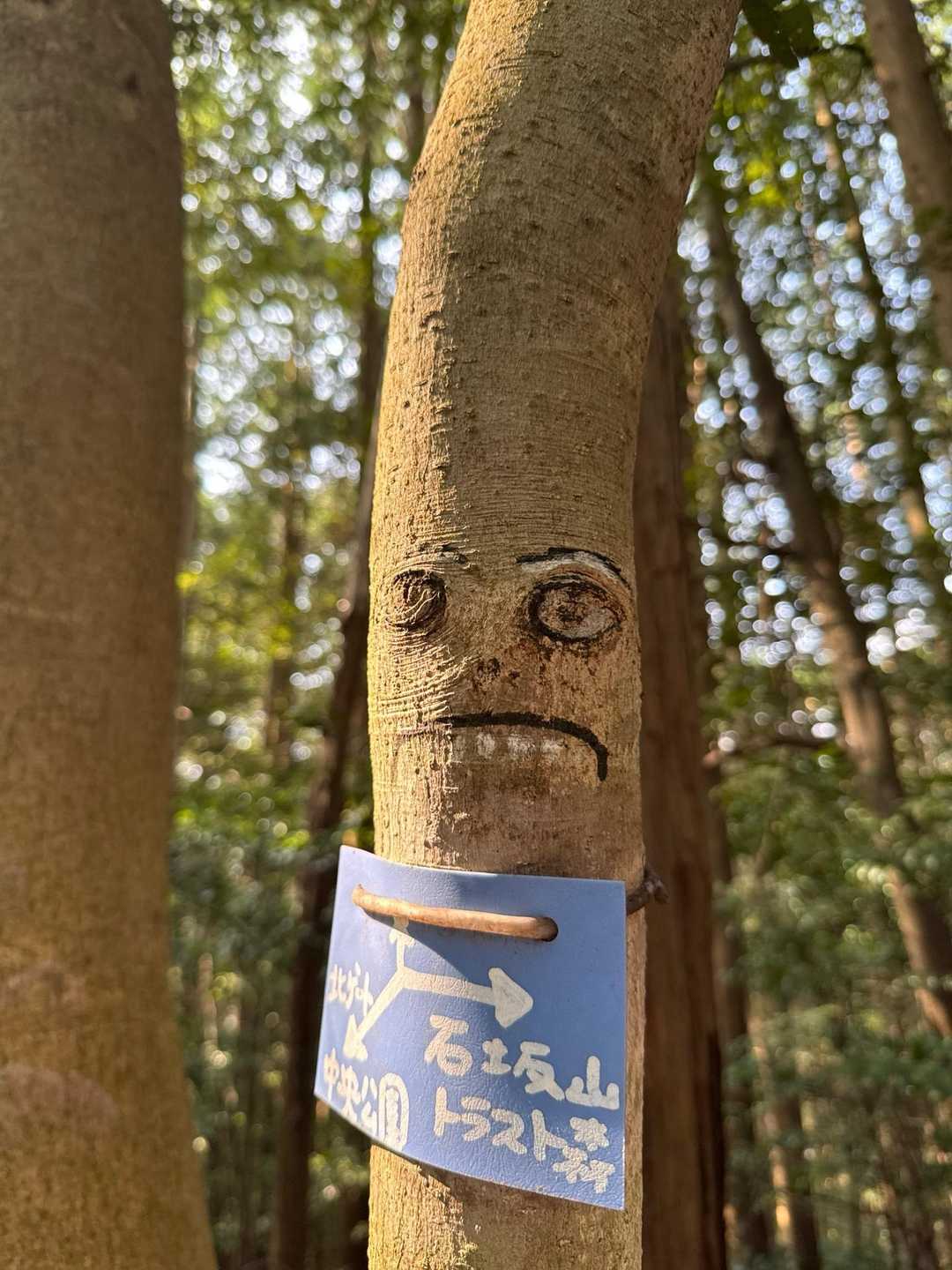 いい味だしてる