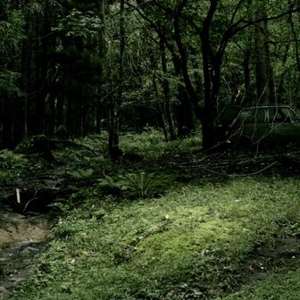 女人禁制のその山の道中、朽ち果てた車あり。その昔、狂人に追われし女、スタックしせり、その後は行方知れずと云ふ

（創作です。すいません🙇）