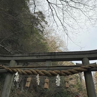 奥社はパワースポットです✨✨