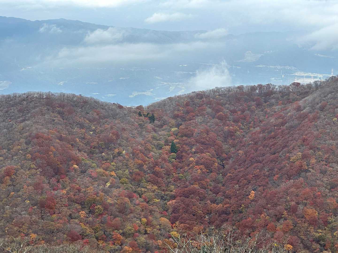 小又谷登山口-T字尾根登山口-天狗鼻-御池岳-奥の平-東ボ 周回コースの写真