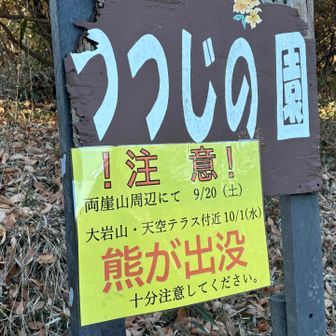 この辺も熊でたのね💦