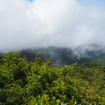 呼子岳方面
こちらから下山します