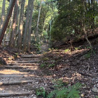 単調な登りです💦