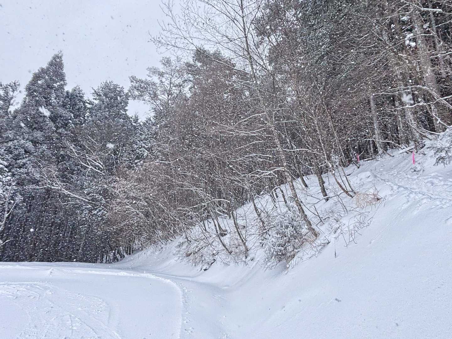 ゲレンデ戻るころには本降り☃️
