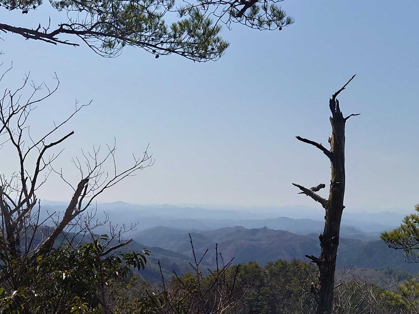葦嶽山 往復コースの写真