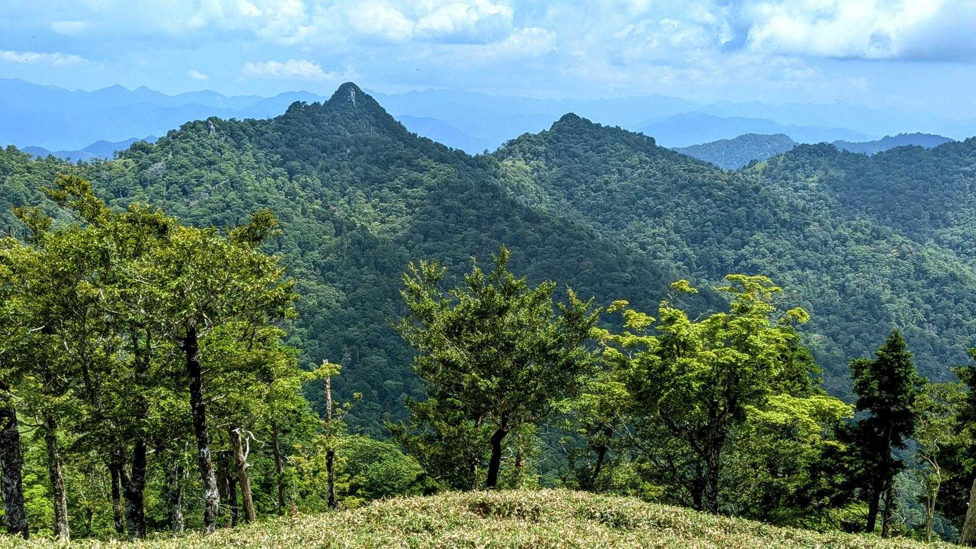 太尾登山口-古田ノ森-千丈平-釈迦ヶ岳 往復コースの写真